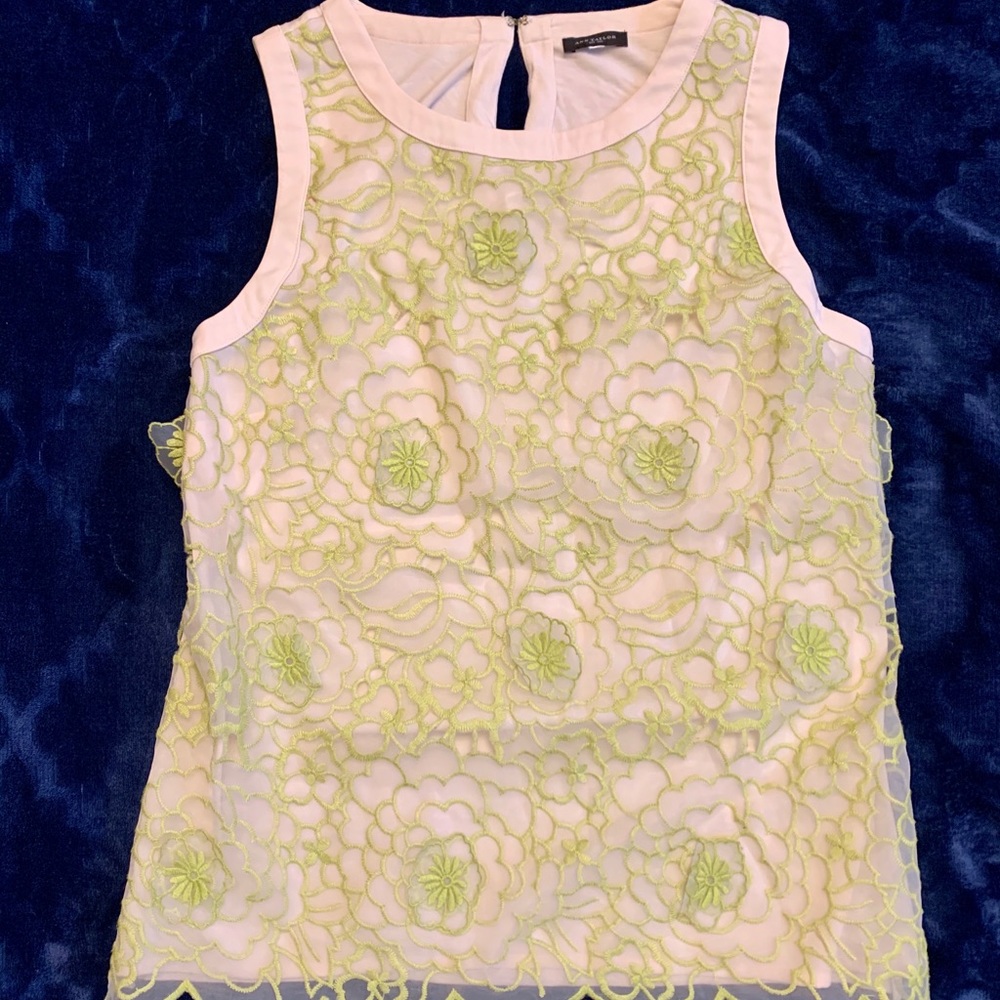Ann Taylor Floral Appliqué Top